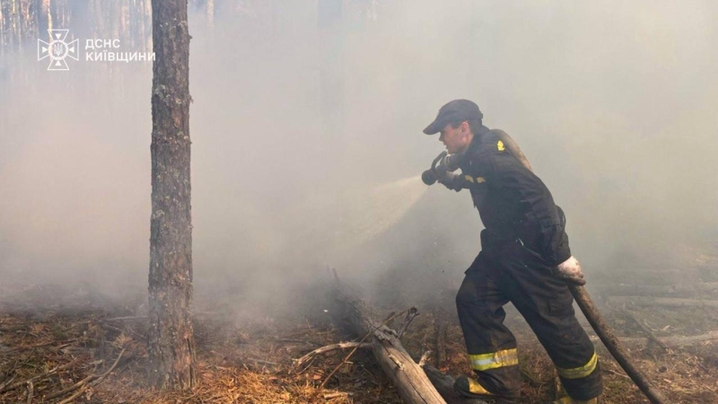 Масштабна пожежа у&nbsp;Чорнобилі: інспекція повідомила про рівень радіації (фото)
