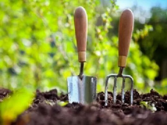 Що&nbsp;посадити в&nbsp;саду та&nbsp;на&nbsp;городі у&nbsp;травні: місячний посівний календар на&nbsp;останній місяць весни